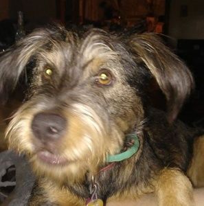 Meet your Posher, Mark